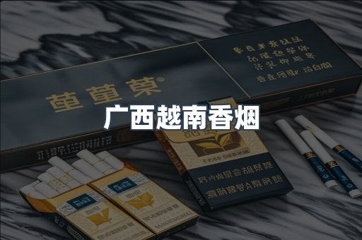 广西越南香烟